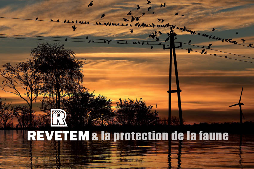 Crise sanitaire - Acte 2 REVETEM reste ouvert