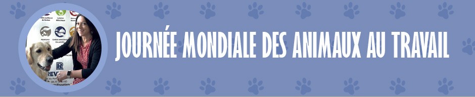 Journée animaux au travail