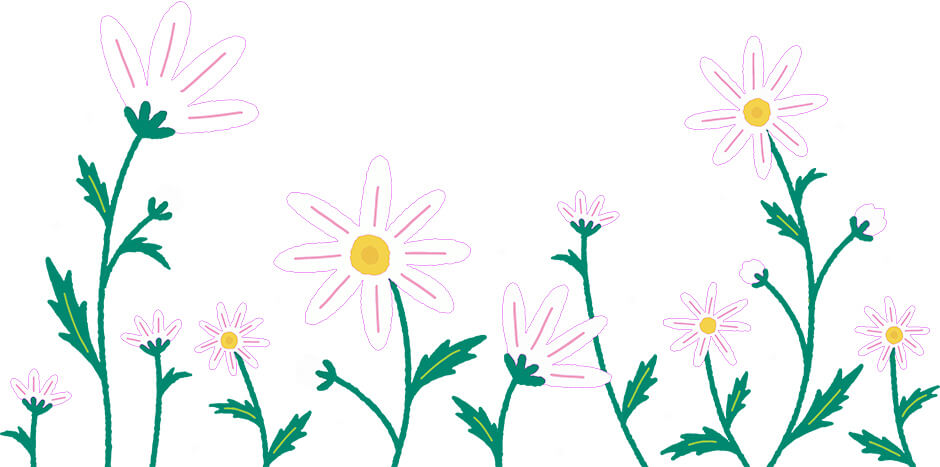 Fleurs du printemps