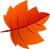 Feuille d'automne